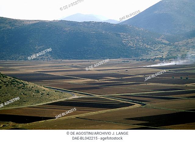 The plain of Orchomenus, Boeotia, Greece