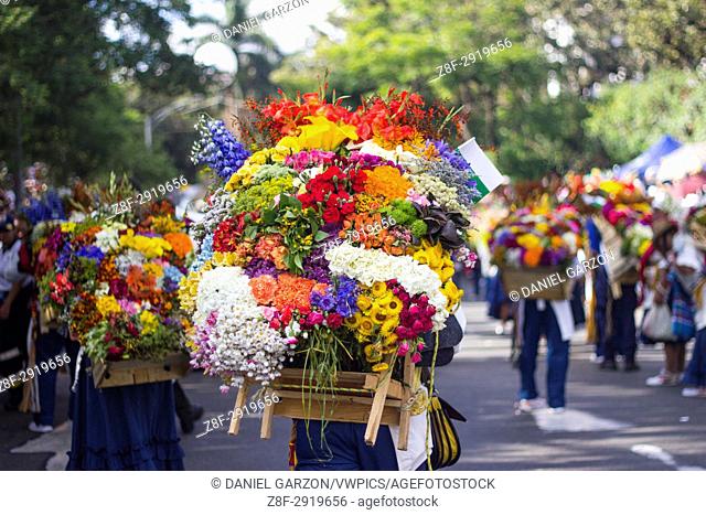 A man carries flowers with the wooden crate in her back during the last day of the Festival of the Flowers in Medellin, Colombia on August 8, 2017