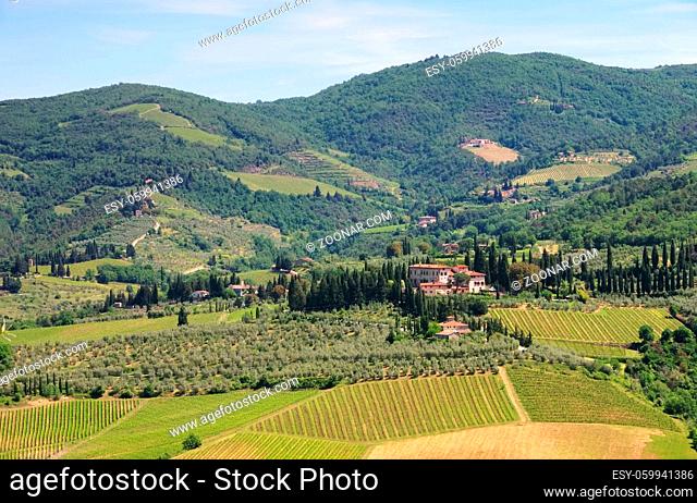 Toskana Weingut - Tuscany vineyard 05