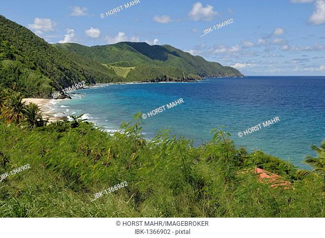 Carambola Beach, north west coast, St. Croix island, U.S. Virgin Islands, United States