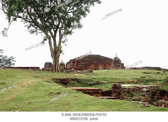 Buddha stupa in heritage Buddhist excavated site , Udayagiri , Orissa , India