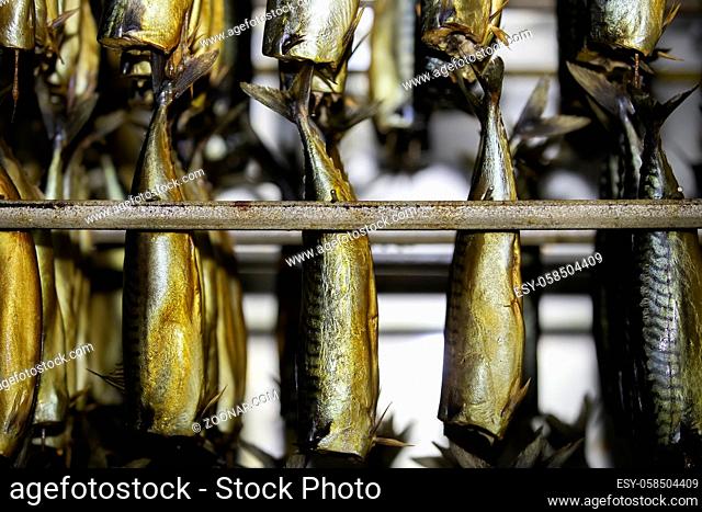 Industrial smoking of fish. Mackerel in a smoking oven