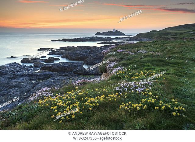 Spring flowers provide the foreground interest in this image, which features Godrevy Lighthouse in St Ives Bay, on the North coast of Cornwall