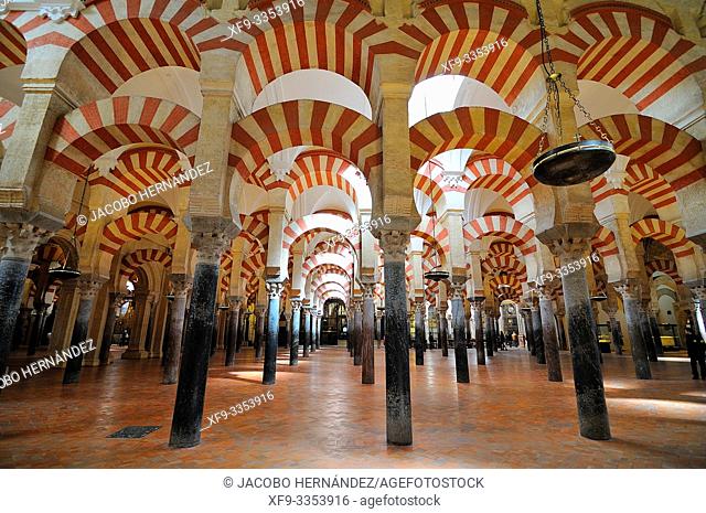 Mosque of Córdoba. Andalusia. Spain