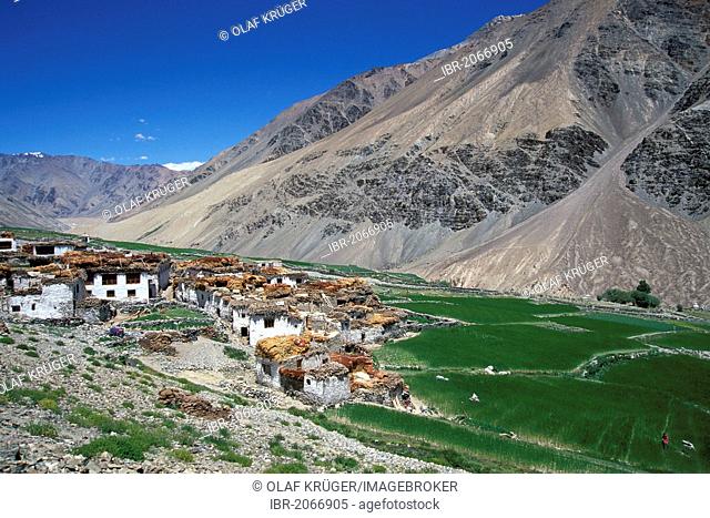 Tetha village, Zanskar, Ladakh, Jammu and Kashmir, North India, India, Himalayas, Asia