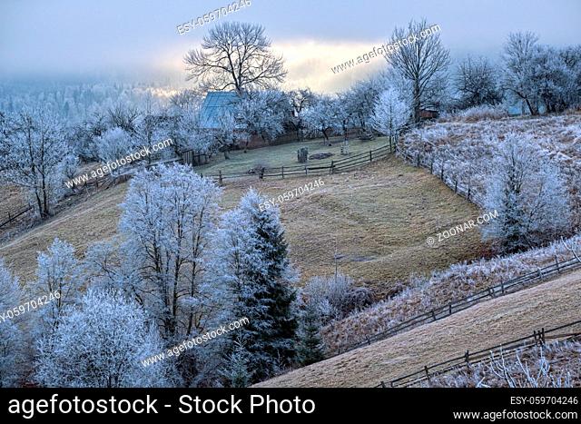 Winter coming. Picturesque pre sunrise scene above late autumn mountain countryside with hoarfrost on grasses, trees, slopes