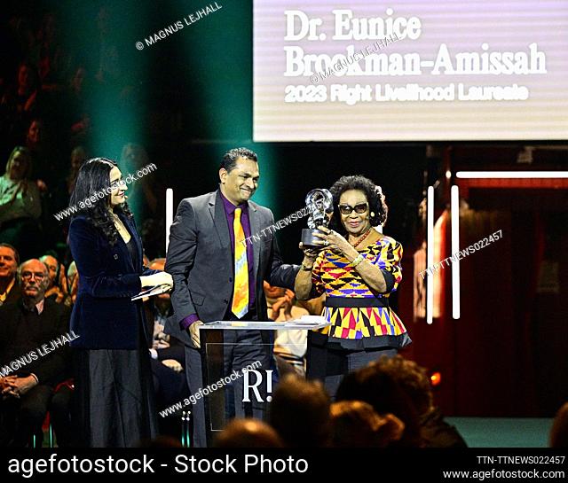 Dr. Eunice Brookman-Amissah receives the prize ""“For pioneering discussions on women’s reproductive rights in Africa, paving the way for liberalised abortion...