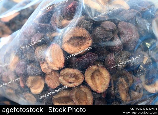 Packaging of prunes at the Freeze Dry Company, which has developed a technology for drying ready-made food using freeze-drying at very low temperatures and high...
