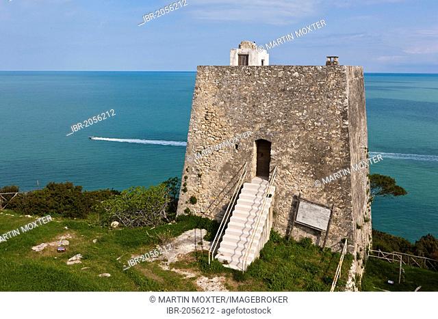 Torre di Monte Pucci, Saracen signal tower, watchtower, Gargano, Foggia, Apulia, Puglia, Southern Italy, Italy, Europe