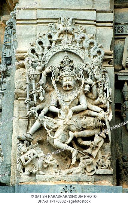 Narasimha statue on chennakesava temple ; Belur ; Hassan ; Karnataka ; India
