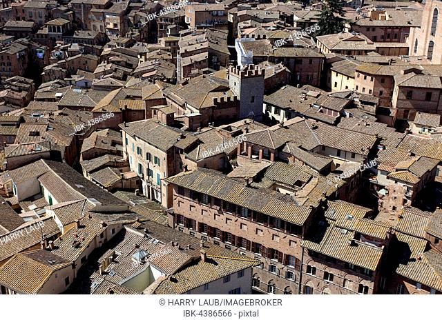 View of roofs in historic centre from Torre del Mangia, Siena, Province of Siena, Tuscany, Italy