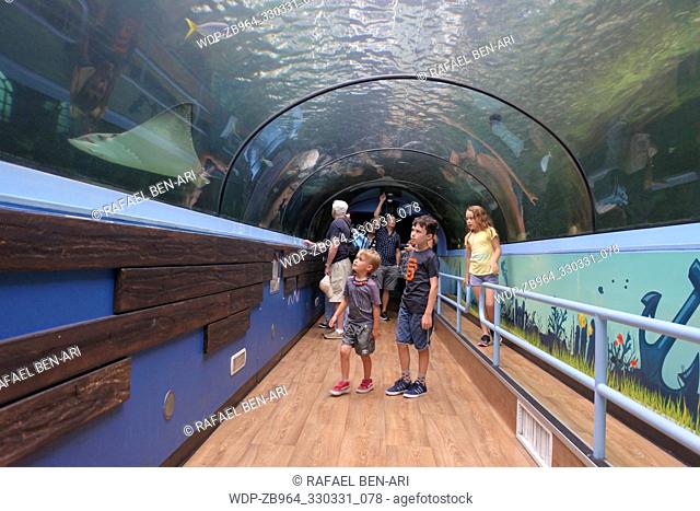 SYDNEY - FEB 21 2019:Visitors looking at fish in Sea Life Aquarium in Sydney New South Wales Australia that displaying more than 700 species and 13