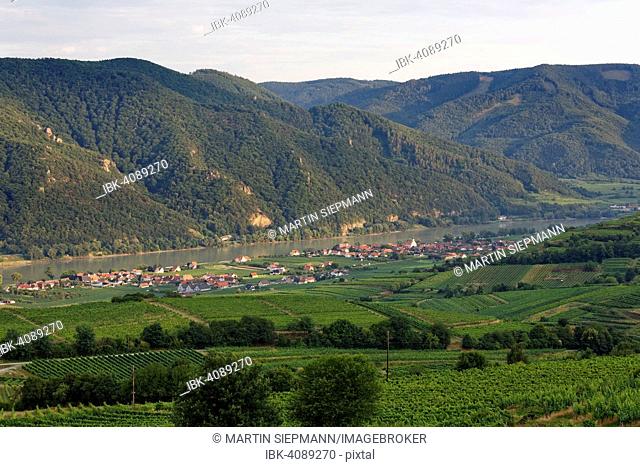 Townscape, Joching and Wösendorf, Weißenkirchen in der Wachau, Danube, Wachau, Waldviertel, Lower Austria, Austria