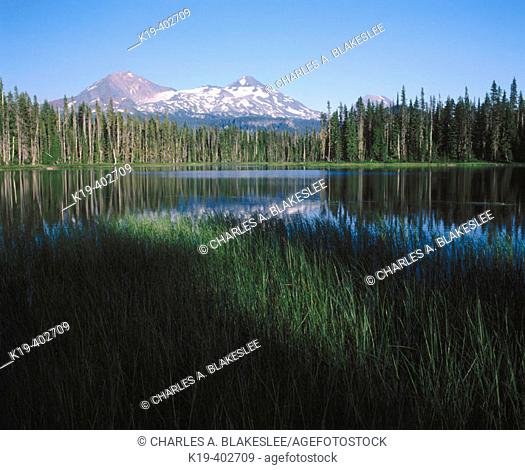 Scott Lake, North and Middle Sisters, Cascade Mountain Range. Deschutes National Forest, Lane County. Oregon. USA