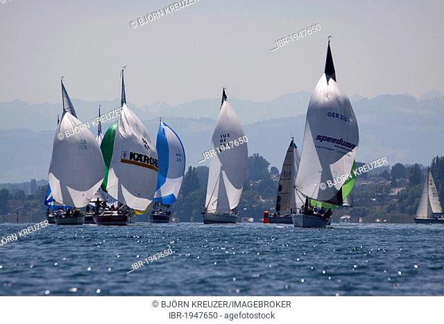 Sailing boats with set spinnakers at a regatta on Lake Constance, Internationale Bodenseewoche 2011 festival, Konstanz, Baden-Wuerttemberg, Germany, Europe