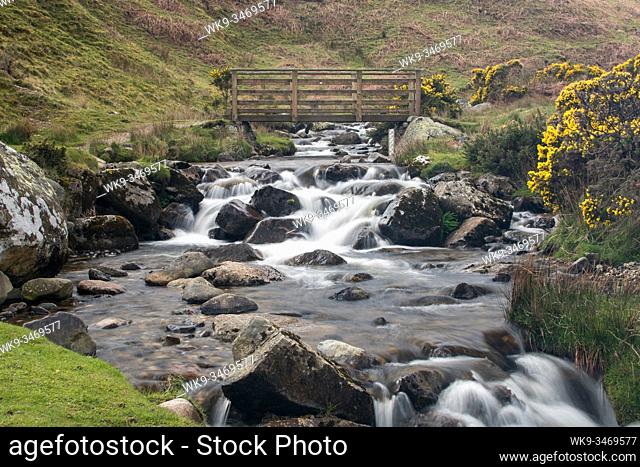 Fast flowing Carrock Beck near Caldbeck during springtime in the northern part of the English Lake District. The wooden footbridge across the beck is in the...