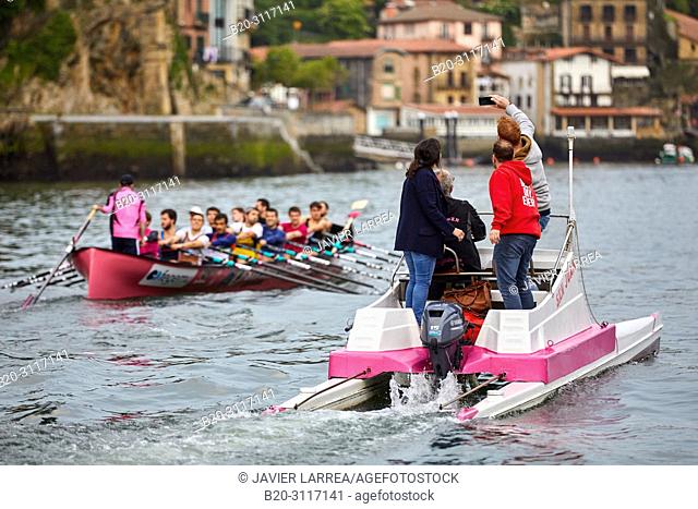 Guide accompanying tourists in rowing team training, Trainera and crew, Rowing Company Koxtape, Pasajes de San Juan (Pasaia), Gipuzkoa, Basque Country, Spain