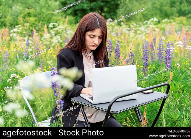 Freelancer working on laptop in meadow