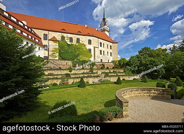 Rose garden from Hartenfels castle with Hausmannsturm, Torgau, Saxony, Germany