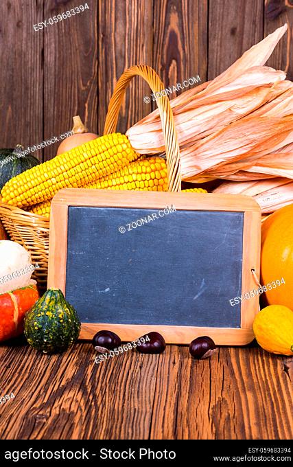Autumn harvest festival motive with various pumpkins in front of a basket with corn cobs on a rustic wooden background with copy space on a slate board and in...