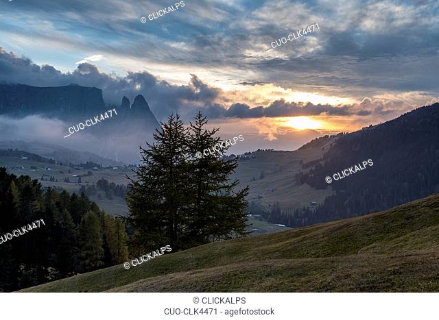 Sunset on the Alpe di Siusi Alm with the Sciliar, Alpe di Siusi, Dolomites, Trentino-Alto Adige, Italy