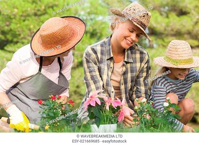 Three generations of women gardening together with potted plants