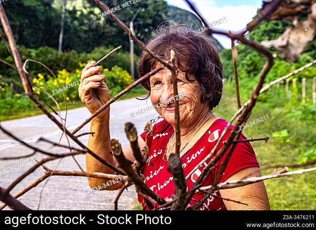 Local Cuban woman holding branches in Topes de Collantes, Trinidad, Republic of Cuba, Caribbean, Central America