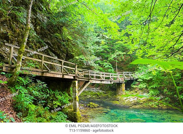 Wooden footbridge in Kamacnik canyon near Vrbovsko in Croatia