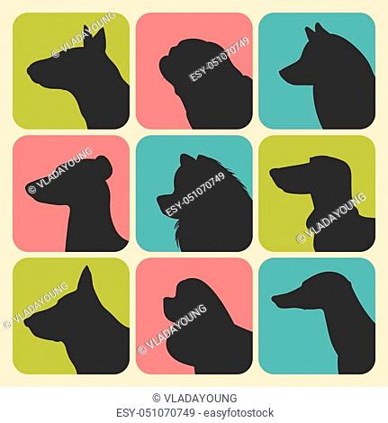 Cartoon dog king Stock Photos and Images | agefotostock