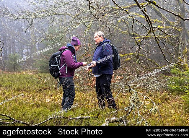 PRODUCTION - 16 March 2022, Rhineland-Palatinate, Börfink: Botanists Dorothee Killmann and Burkhard Leh identify a lichen species on a fallen branch in the...