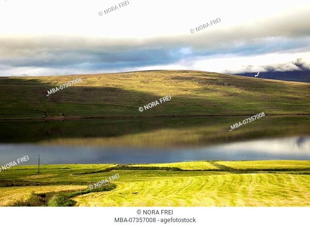 Hill, lake, Svinavatn, Iceland, landscape