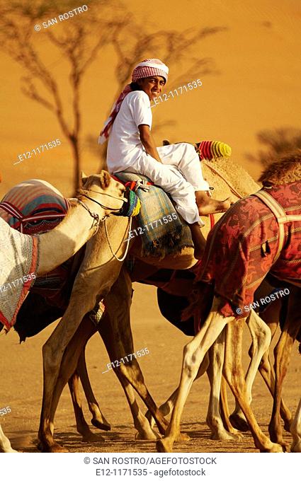 Middle East, Oman, desert of Wahiba, kids training race camels bedouins