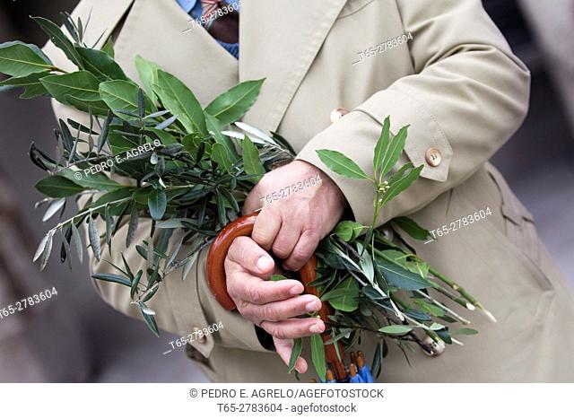 Man with a bouquet of Laurel and hands Olivo, during Easter in Lugo