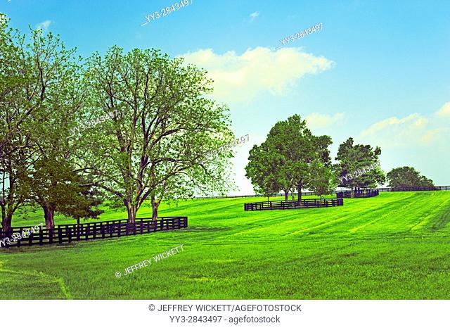 Beautiful tree landscape. Scenic highway in Franklin County, Kentucky, USA