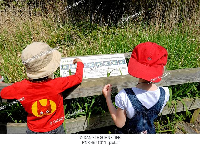 Three-year-old girl and five-year-old boy reading an information board in a natural park