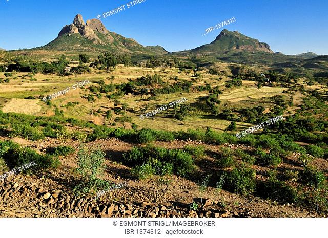 Terraced fields in the Adua, Adwa Mountains in Tigray, Ethiopia, Africa