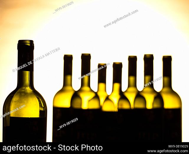 Empty wine bottles lined up