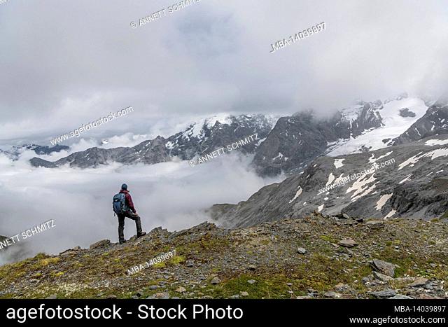 stelvio nature park in the ortler alps