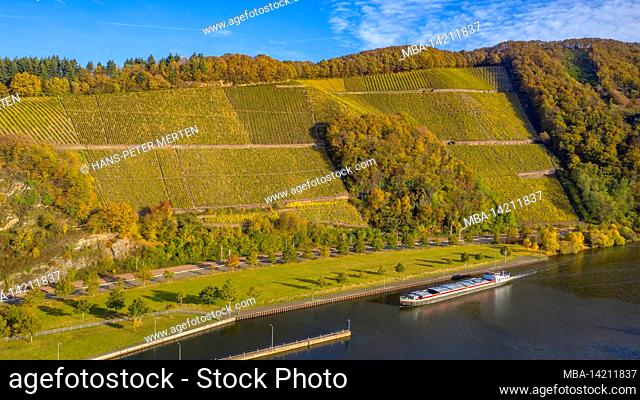 Würzberg and Herrenberg vineyards near Serrig, Saar Valley, Saar-Hunsrück Nature Park, Rhineland-Palatinate, Germany