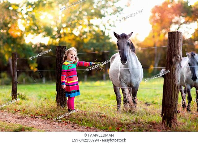 Little girl feeding horse Stock Photos and Images | agefotostock