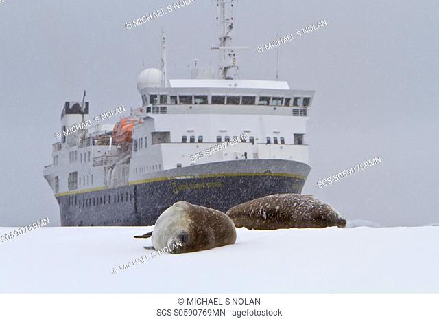 The Lindblad Expedition Ship National Geographic Explorer operating in Antarctica in the summer months