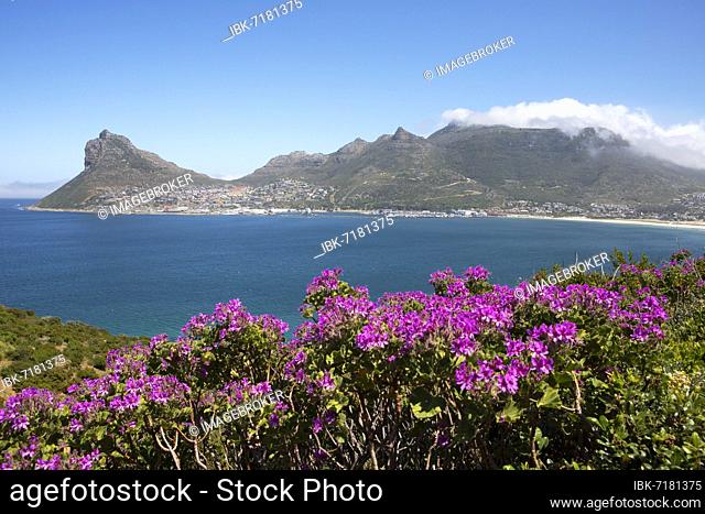 Coast and Atlantic Ocean, Hout Bay, Cape Town, Western Cape, South Africa, Africa
