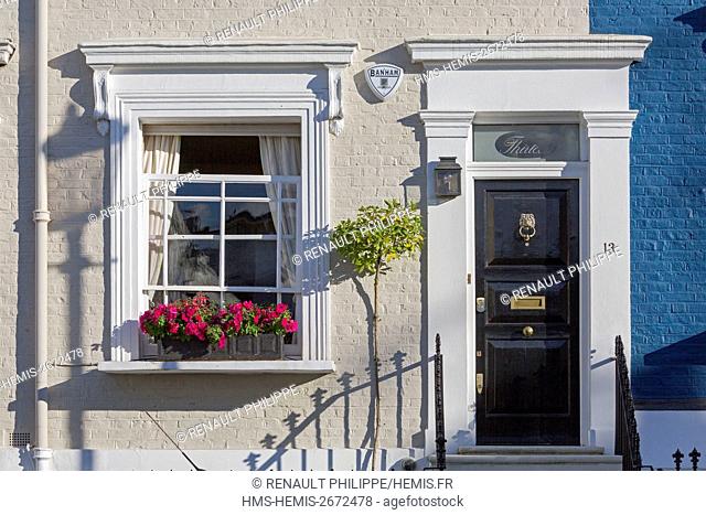 United Kingdom, London, Kensington district close to Notting Hill, colored townhouses, decorated door and window with a flower box