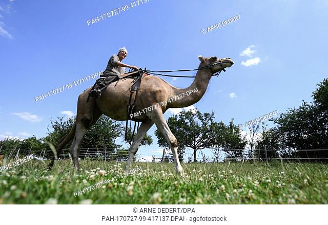 Marion Boehm rides her dromedary 'Divess' on her meadow in Ober-Ramstadt, Germany, 13 July 2017. The 52-year-old plans on train the dromedaries in order to use...