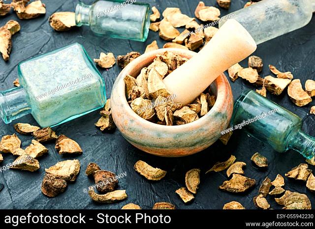 Medicinal herbs, medicinal root of elecampan.Herbal medicine and homeopathy.Inula helenium