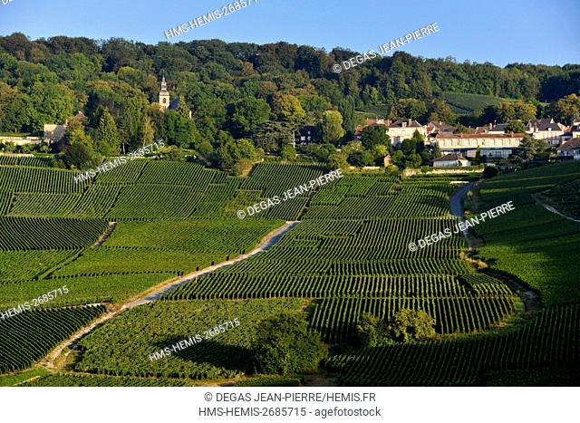 France, Marne, Hautvillers, Marne Valley, vineyard in Champagne listed Premier Cru and listed as World Heritage by UNESCO with the Abbey Saint Peter of...