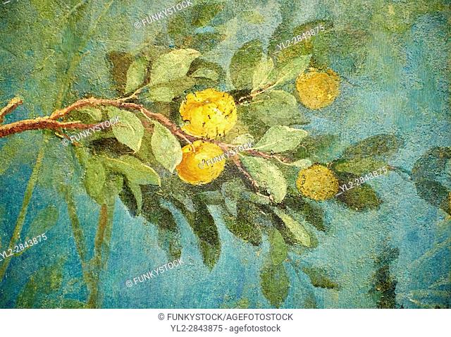Painted Fruit Tress in the Roman fresco of a garden from Villa Livia (Early first century AD), Rome, Livia was the wife of Roman emperor Augustus