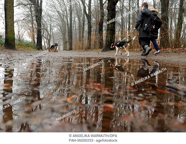 A pet owner walks his dog past a puddle in the misty public park in Hamburg, Germany, 5 January 2013. Photo: Angelika Warmuth | usage worldwide