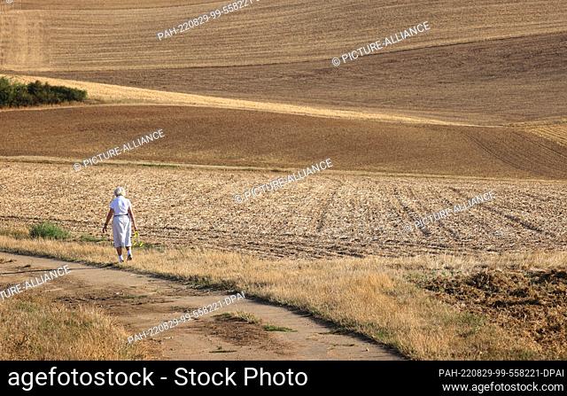 29 August 2022, Bavaria, Waldbrunn: A woman walks between dry fields. Photo: Karl-Josef Hildenbrand/dpa. - Waldbrunn/Bavaria/Germany