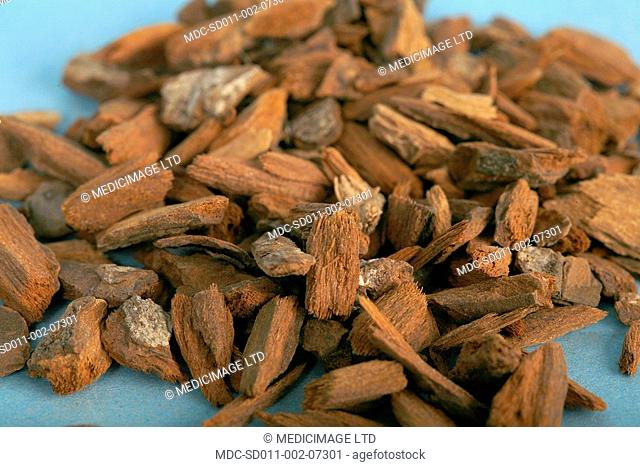 Cinchona bark includes alkaloids which are closely related to quinine and s used to treat malaria